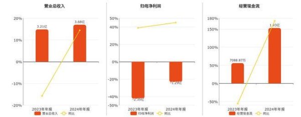 大资本 阳光股份(000608.SZ)：2024年年报净利润为-1.29亿元