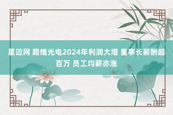 星迈网 路维光电2024年利润大增 董事长薪酬超百万 员工均薪亦涨