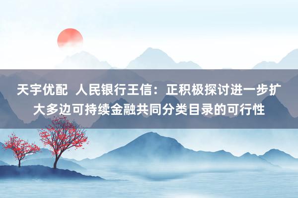 天宇优配  人民银行王信：正积极探讨进一步扩大多边可持续金融共同分类目录的可行性