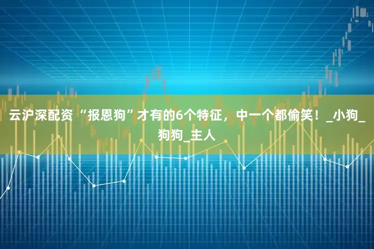 云沪深配资 “报恩狗”才有的6个特征，中一个都偷笑！_小狗_狗狗_主人
