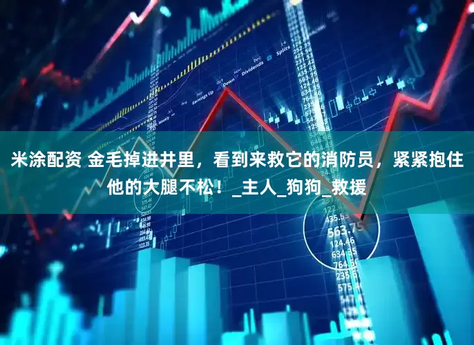 米涂配资 金毛掉进井里，看到来救它的消防员，紧紧抱住他的大腿不松！_主人_狗狗_救援