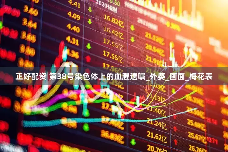 正好配资 第38号染色体上的血腥遗嘱_外婆_画面_梅花表