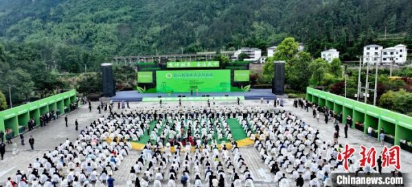 粤友钱配资 多国专家：“年轻化”是中国茶出口的突破口