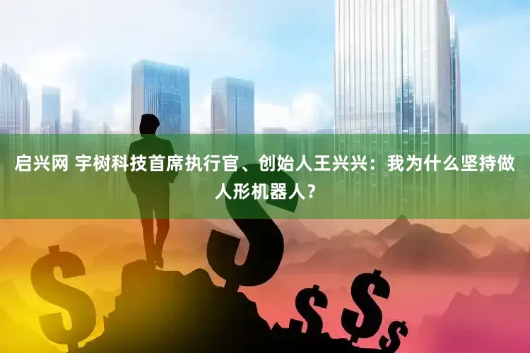 启兴网 宇树科技首席执行官、创始人王兴兴：我为什么坚持做人形机器人？