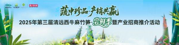 兴业配资 破解产业“出圈”密码！清远举办西牛麻竹笋小红书营销特训营