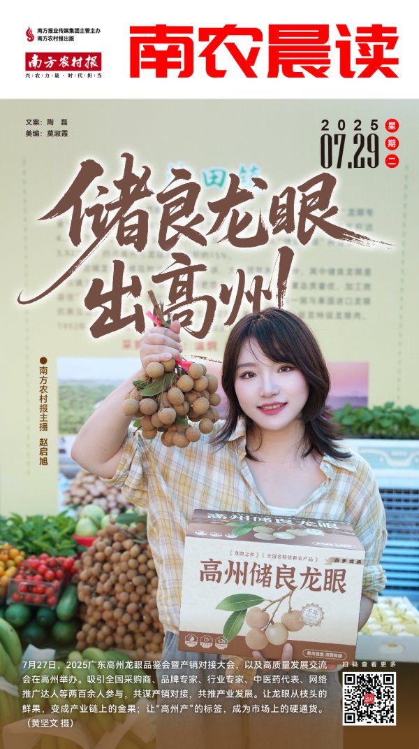 巨人配资 南农晨读丨储良龙眼出高州