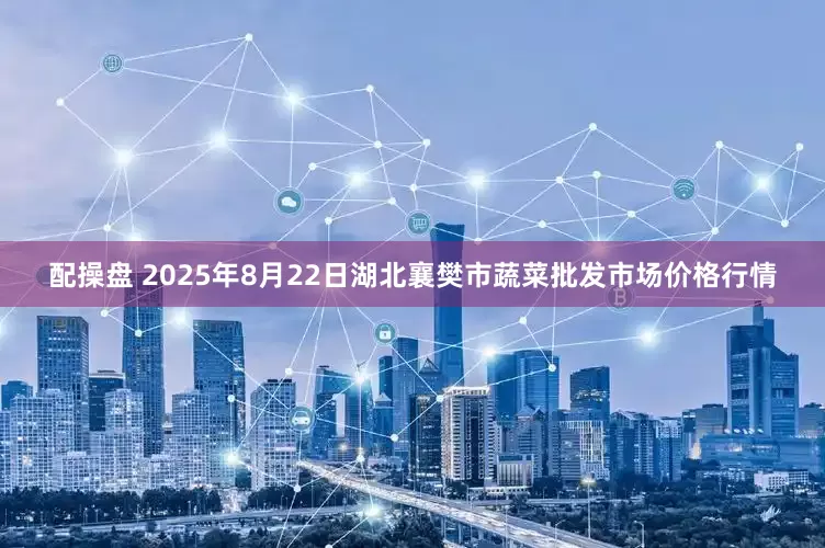 配操盘 2025年8月22日湖北襄樊市蔬菜批发市场价格行情