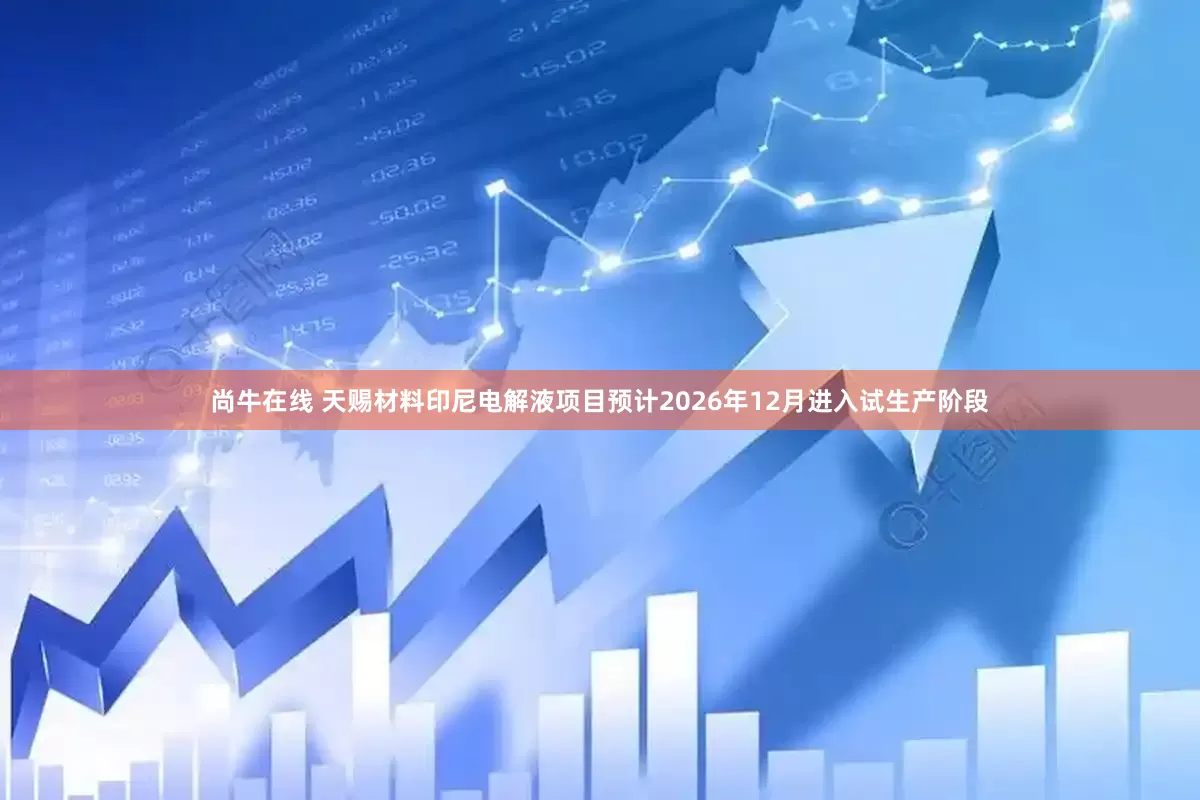 尚牛在线 天赐材料印尼电解液项目预计2026年12月进入试生产阶段