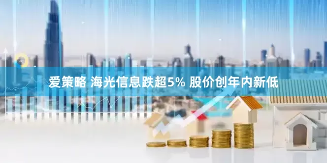 爱策略 海光信息跌超5% 股价创年内新低